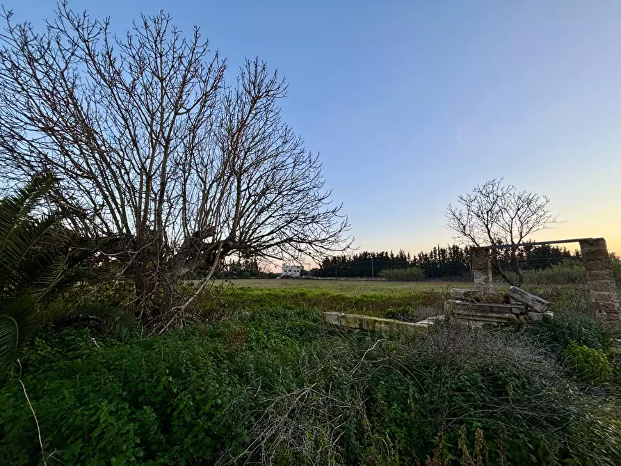 Immagine 9 di Terreno agricolo in vendita  in Via Alessandro Volta SNC a Arnesano