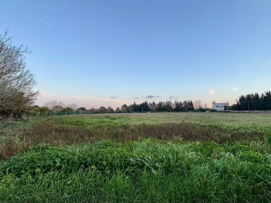 Immagine 11 di Terreno agricolo in vendita  in Via Alessandro Volta SNC a Arnesano