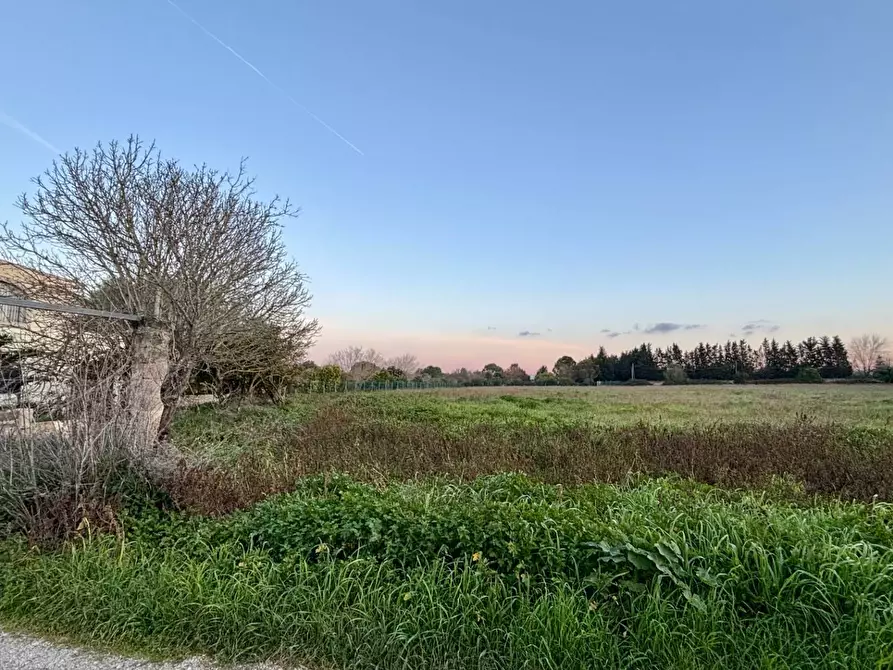 Immagine 12 di Terreno agricolo in vendita  in Via Alessandro Volta SNC a Arnesano