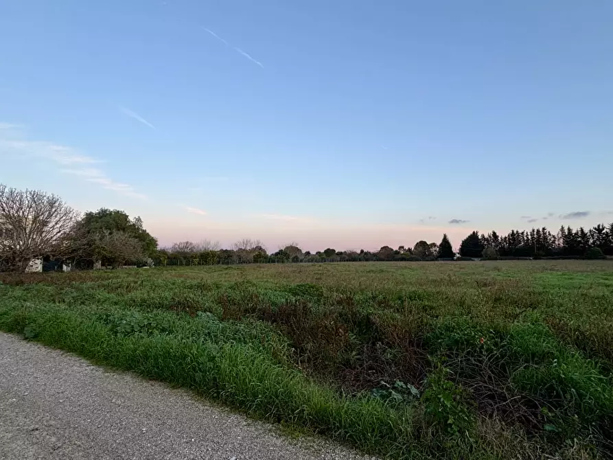 Immagine 16 di Terreno agricolo in vendita  in Via Alessandro Volta SNC a Arnesano