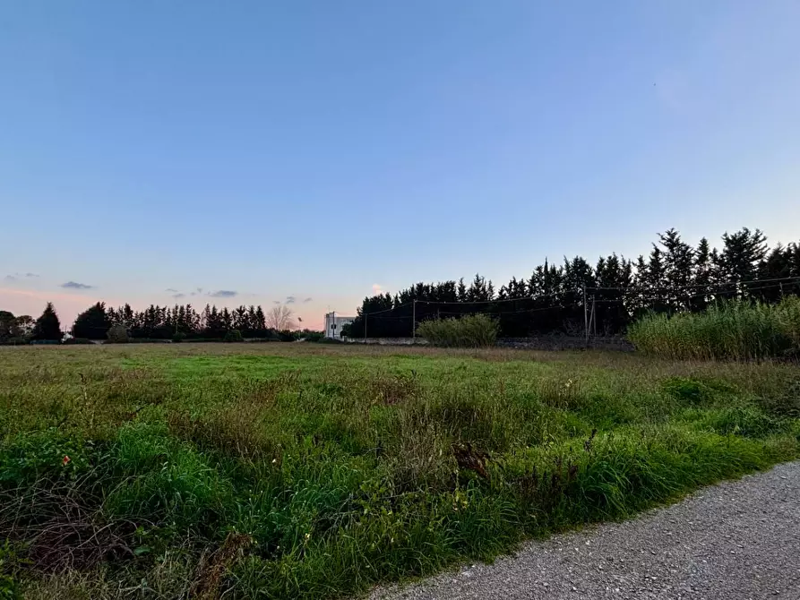Immagine 14 di Terreno agricolo in vendita  in Via Alessandro Volta SNC a Arnesano
