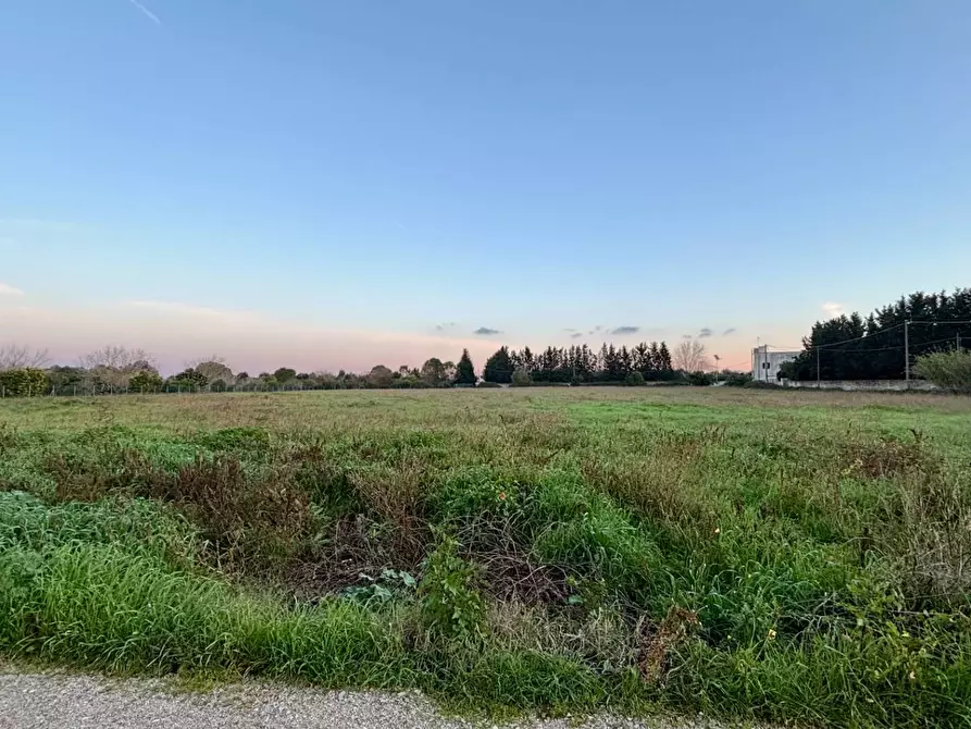 Immagine 15 di Terreno agricolo in vendita  in Via Alessandro Volta SNC a Arnesano