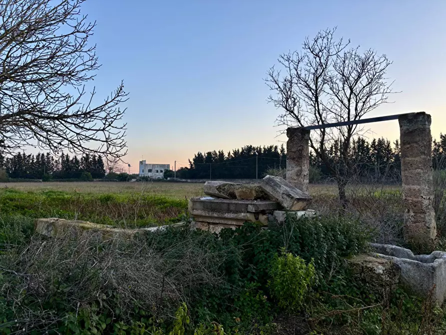 Immagine 27 di Terreno agricolo in vendita  in Via Alessandro Volta SNC a Arnesano