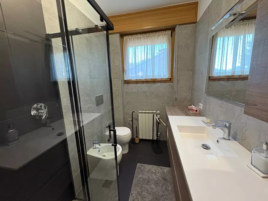 Immagine 16 di Appartamento in affitto  in via Pio XI a Ardesio