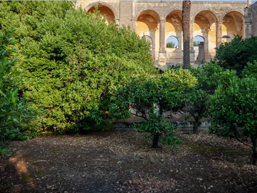 Immagine 20 di Villa in vendita  in via roma 103 a Avetrana