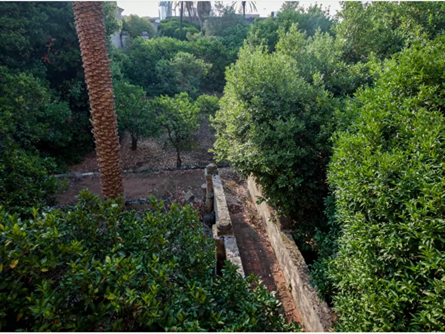 Immagine 31 di Villa in vendita  in via roma 103 a Avetrana