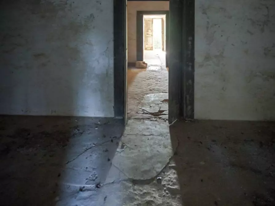 Immagine 32 di Villa in vendita  in via roma 103 a Avetrana