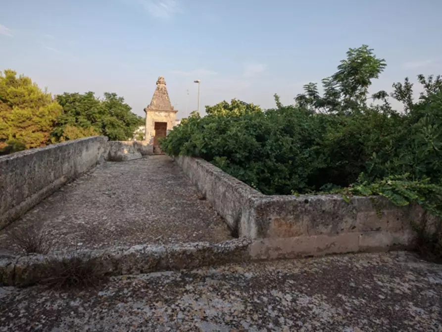 Immagine 33 di Villa in vendita  in via roma 103 a Avetrana