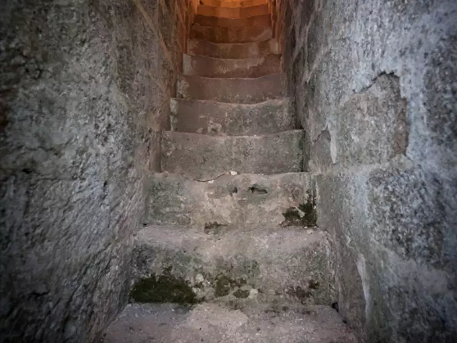 Immagine 35 di Villa in vendita  in via roma 103 a Avetrana