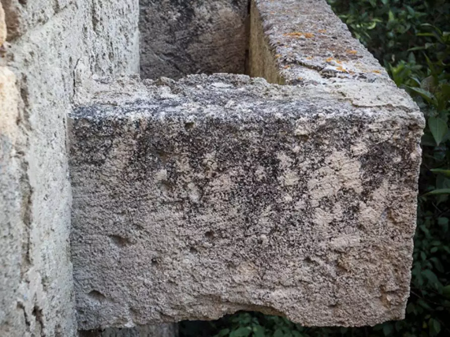 Immagine 41 di Villa in vendita  in via roma 103 a Avetrana