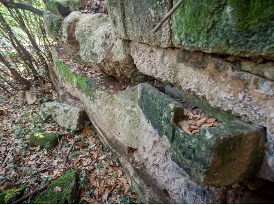Immagine 42 di Villa in vendita  in via roma 103 a Avetrana