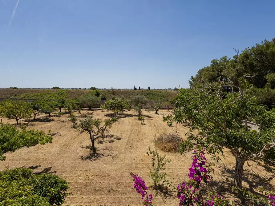 Immagine 24 di Rustico / casale in vendita  in via per francavilla a Sava
