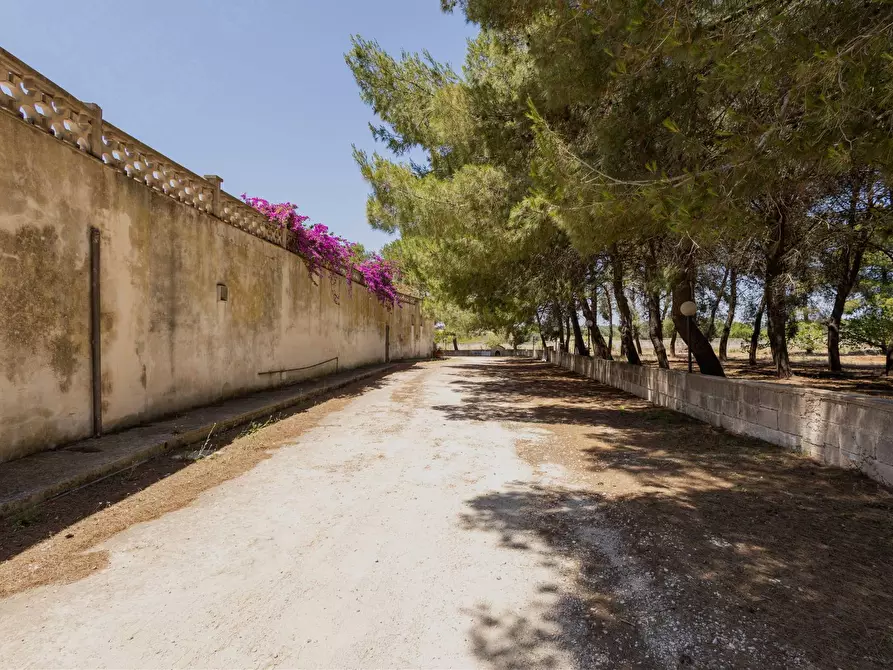 Immagine 37 di Rustico / casale in vendita  in via per francavilla a Sava