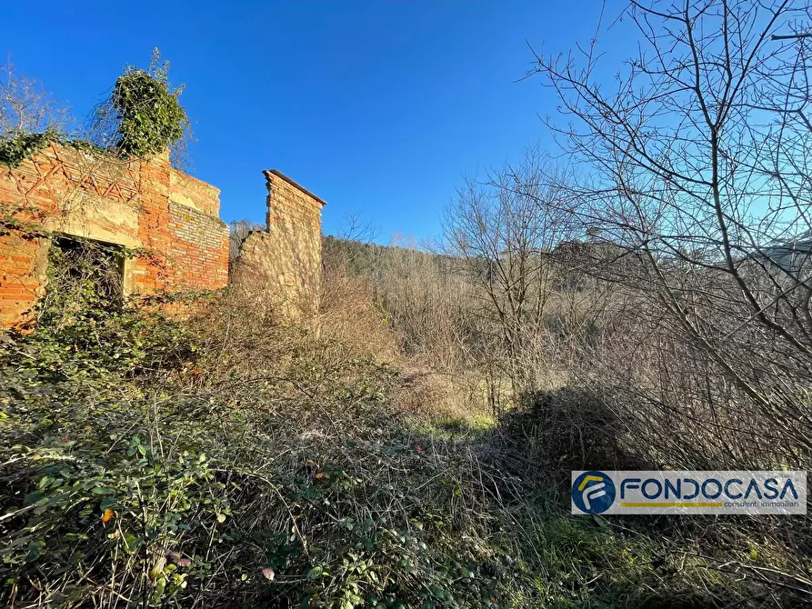 Immagine 4 di Rustico / casale in vendita  in Strada Santa Barbara Gabbiano a Montopoli In Val D'arno
