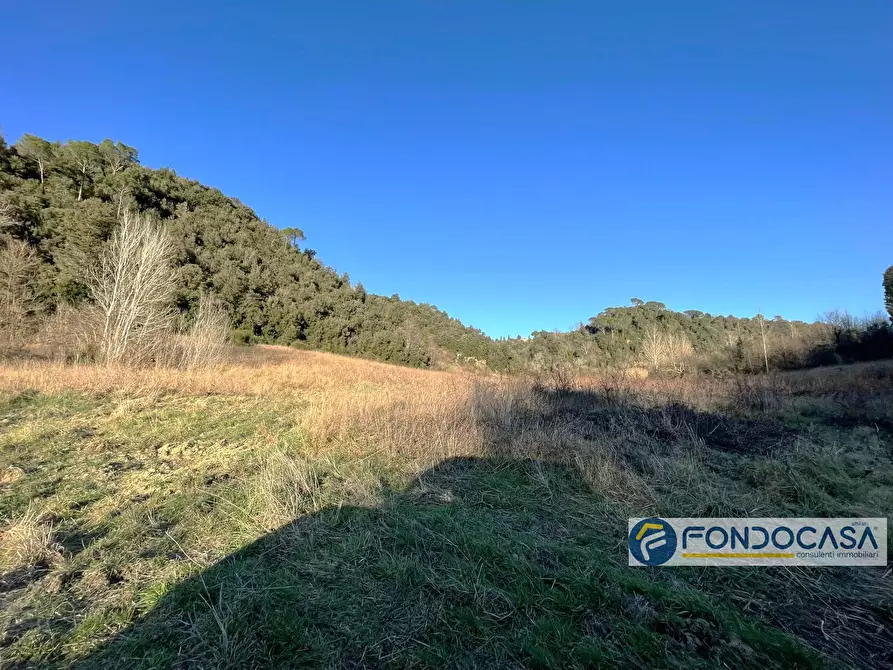 Immagine 9 di Rustico / casale in vendita  in Strada Santa Barbara Gabbiano a Montopoli In Val D'arno