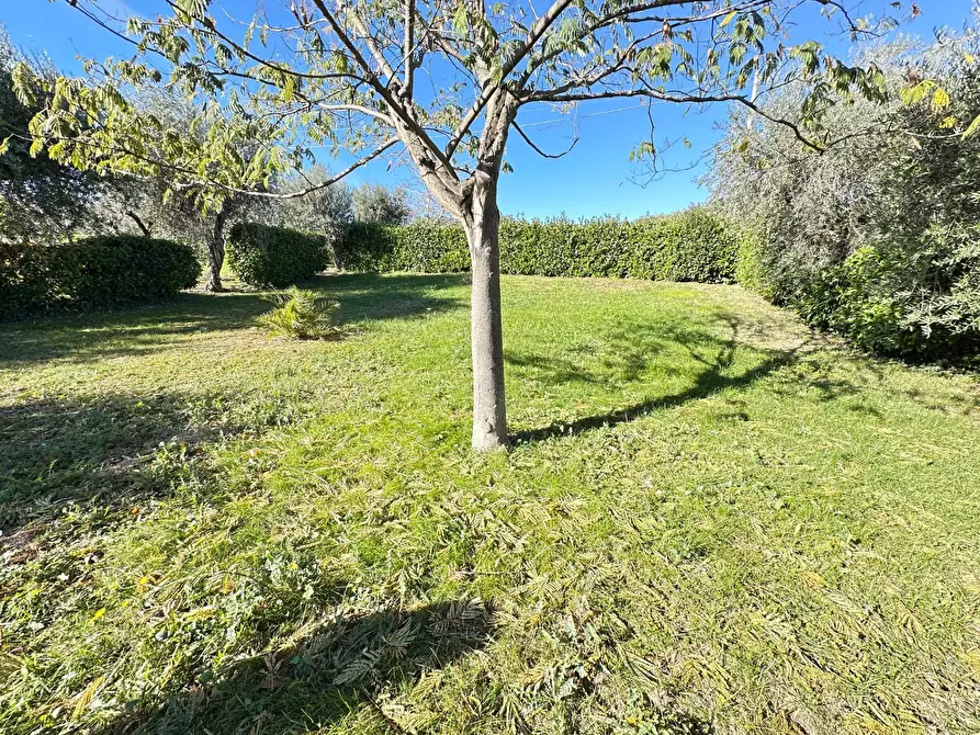 Immagine 43 di Casa indipendente in vendita  in Contrada Santa Reparata 15 a Civitella Del Tronto