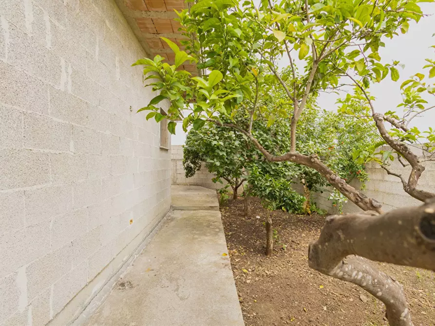 Immagine 21 di Villa in vendita  in VIA TRIPOLI 84 a San Donaci