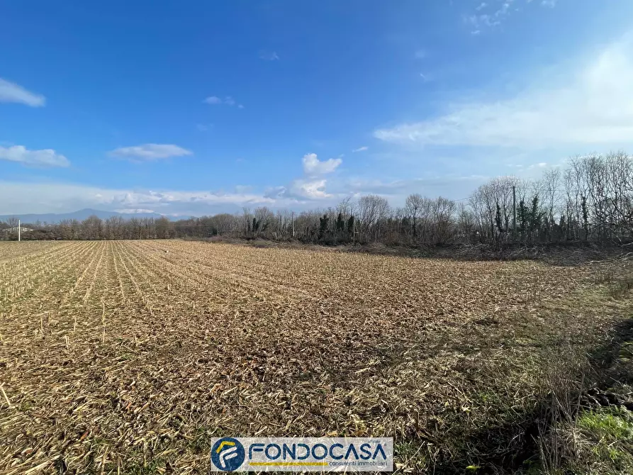 Immagine 3 di Terreno agricolo in vendita  a Cimbergo