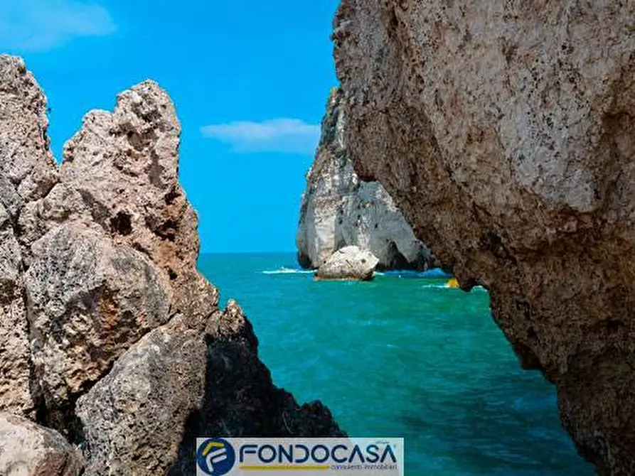 Immagine 14 di Appartamento in vendita  25 a Cagnano Varano