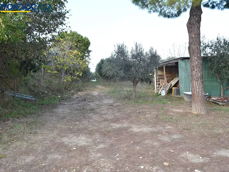 Immagine 7 di Rustico / casale in vendita  in CONTRADA COLLE MONTERENZO 4/A a San Benedetto Del Tronto