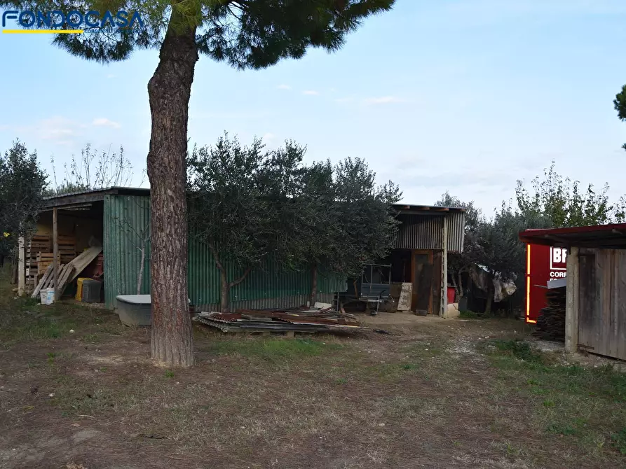 Immagine 8 di Rustico / casale in vendita  in CONTRADA COLLE MONTERENZO 4/A a San Benedetto Del Tronto