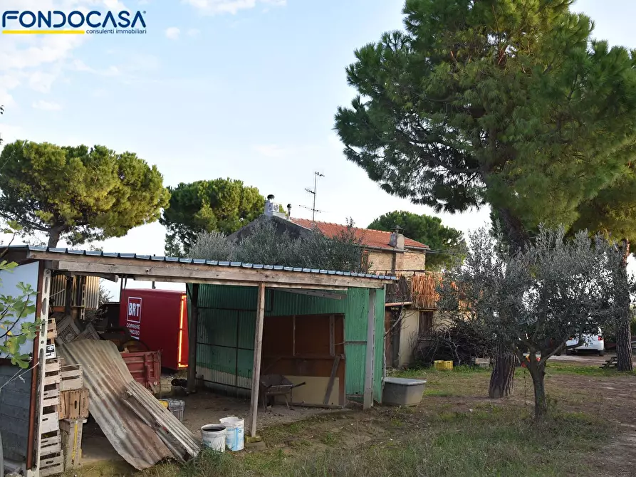 Immagine 15 di Rustico / casale in vendita  in CONTRADA COLLE MONTERENZO 4/A a San Benedetto Del Tronto