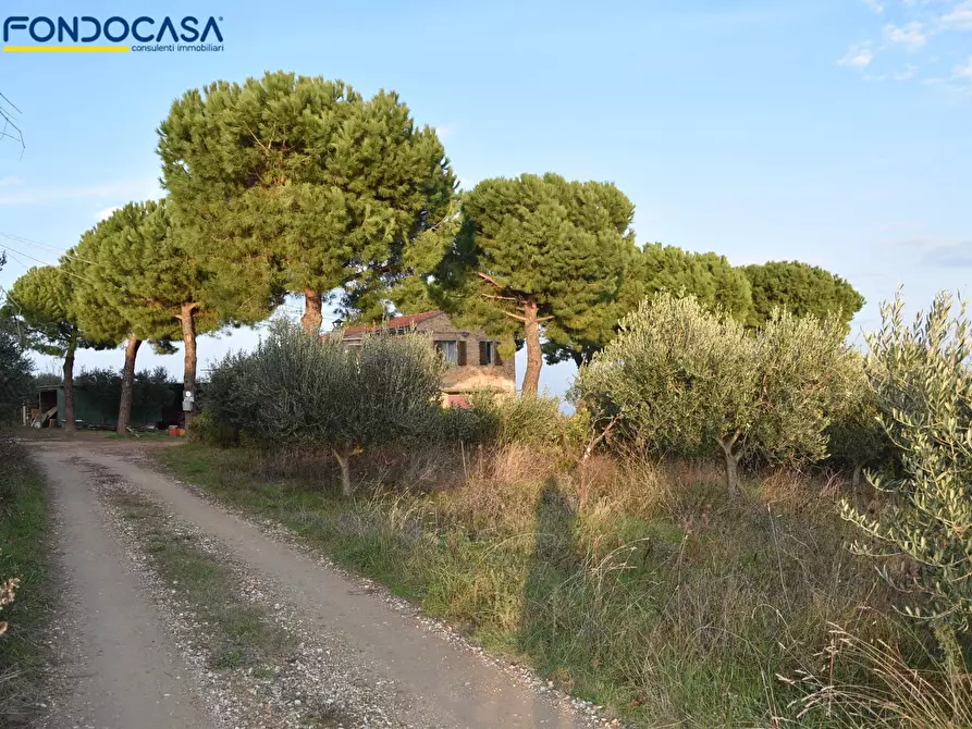 Immagine 16 di Rustico / casale in vendita  in CONTRADA COLLE MONTERENZO 4/A a San Benedetto Del Tronto