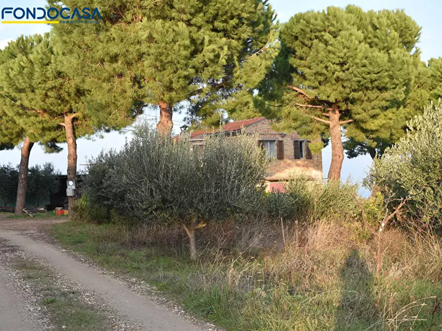 Immagine 20 di Rustico / casale in vendita  in CONTRADA COLLE MONTERENZO 4/A a San Benedetto Del Tronto
