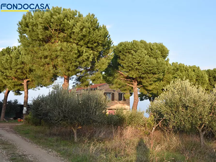 Immagine 23 di Rustico / casale in vendita  in CONTRADA COLLE MONTERENZO 4/A a San Benedetto Del Tronto