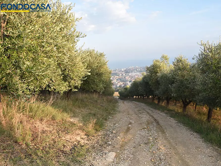 Immagine 17 di Rustico / casale in vendita  in CONTRADA COLLE MONTERENZO 4/A a San Benedetto Del Tronto