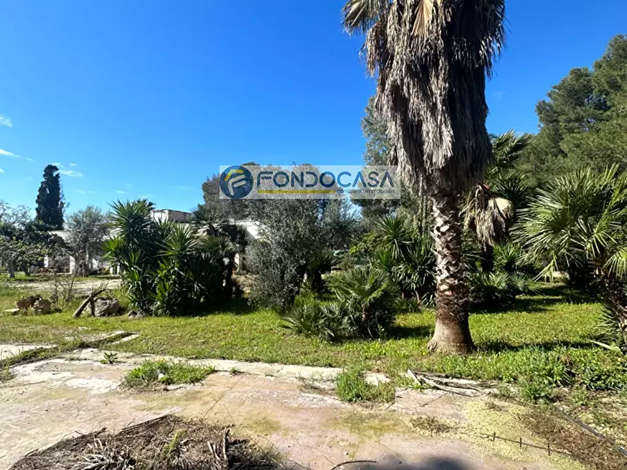 Immagine 33 di Villa in vendita  in SP 115 Snc a Copertino