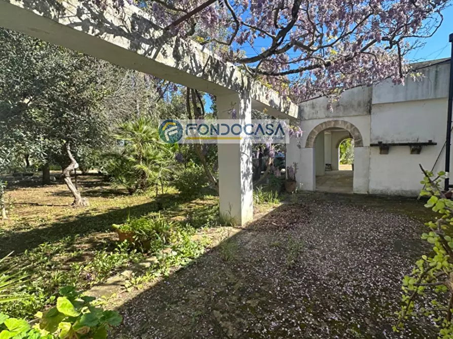 Immagine 36 di Villa in vendita  in SP 115 Snc a Copertino