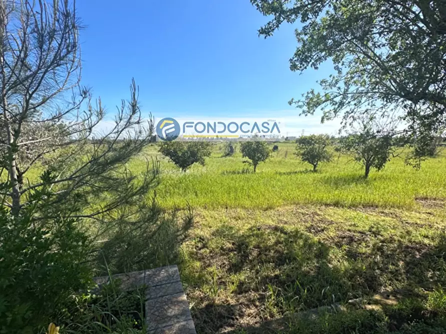 Immagine 37 di Villa in vendita  in SP 115 Snc a Copertino