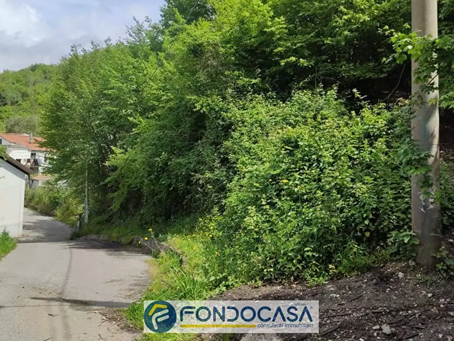 Immagine 1 di Terreno agricolo in affitto  in Via Casa Manzo SNC a Salerno