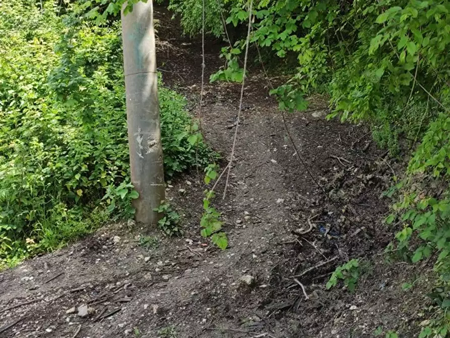 Immagine 2 di Terreno agricolo in affitto  in Via Casa Manzo SNC a Salerno