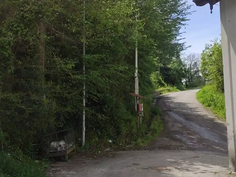 Immagine 4 di Terreno agricolo in affitto  in Via Casa Manzo SNC a Salerno