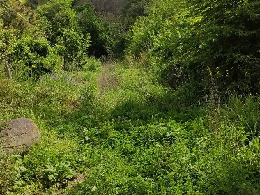 Immagine 5 di Terreno agricolo in affitto  in Via Casa Manzo SNC a Salerno