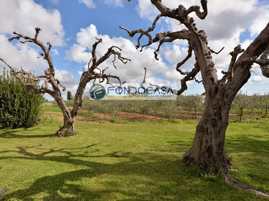 Immagine 45 di Villa in vendita  a Bagnolo Del Salento