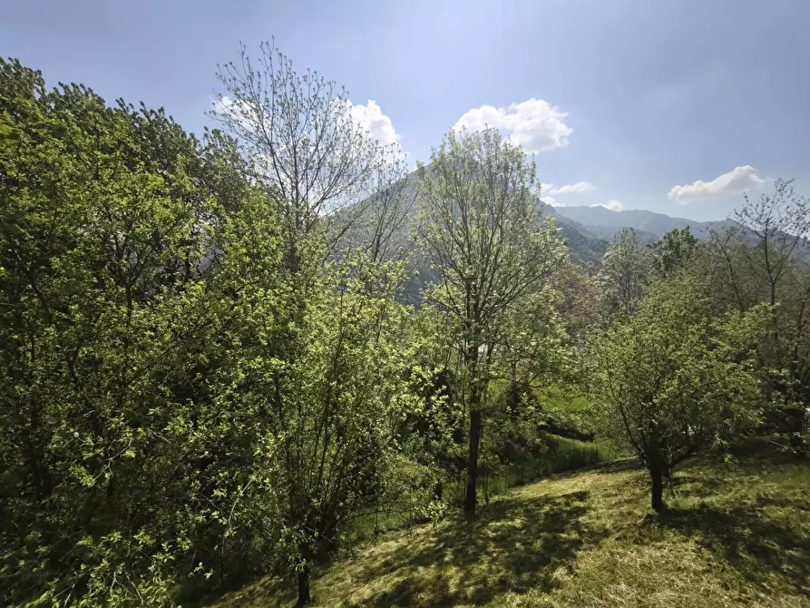 Immagine 24 di Appartamento in vendita  in Via Botta 77 a Premolo