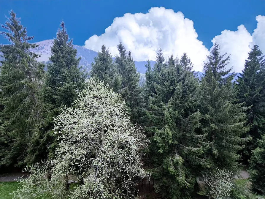 Immagine 14 di Appartamento in vendita  in Località Colle Vareno a Angolo Terme