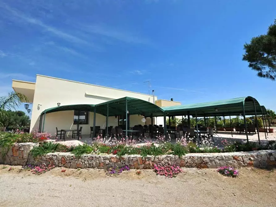 Immagine 2 di Azienda agricola in vendita  in STRADA ESTERNA LECCE SP 16 COPERTINO-SANPIETRO IN LAMA a Copertino
