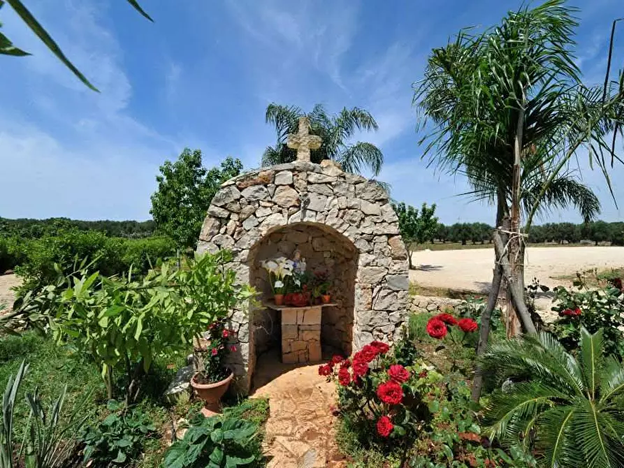 Immagine 5 di Azienda agricola in vendita  in STRADA ESTERNA LECCE SP 16 COPERTINO-SANPIETRO IN LAMA a Copertino