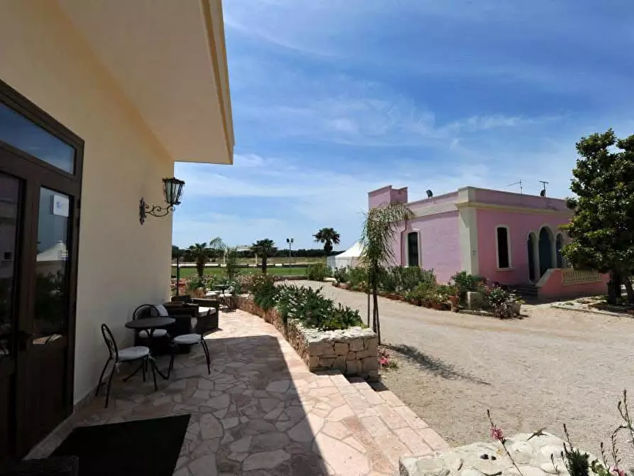 Immagine 7 di Azienda agricola in vendita  in STRADA ESTERNA LECCE SP 16 COPERTINO-SANPIETRO IN LAMA a Copertino