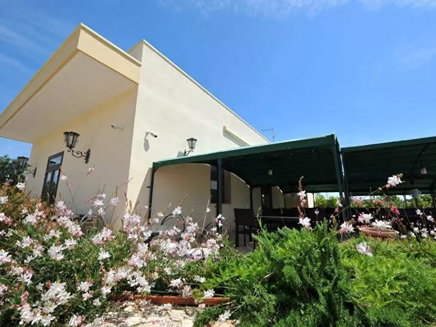 Immagine 8 di Azienda agricola in vendita  in STRADA ESTERNA LECCE SP 16 COPERTINO-SANPIETRO IN LAMA a Copertino