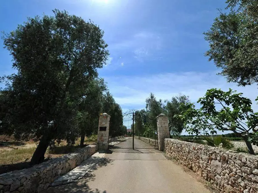 Immagine 9 di Azienda agricola in vendita  in STRADA ESTERNA LECCE SP 16 COPERTINO-SANPIETRO IN LAMA a Copertino