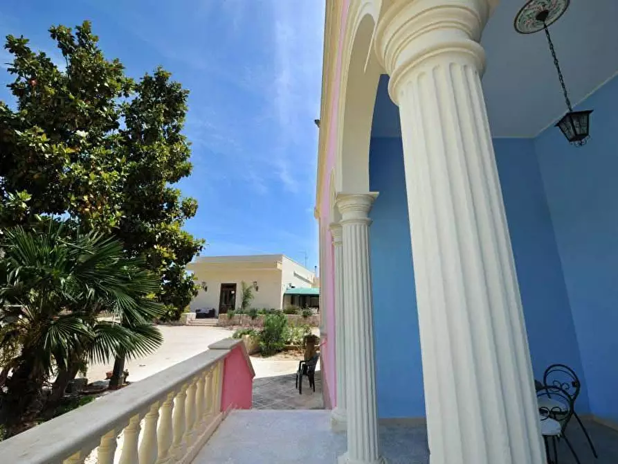 Immagine 10 di Azienda agricola in vendita  in STRADA ESTERNA LECCE SP 16 COPERTINO-SANPIETRO IN LAMA a Copertino