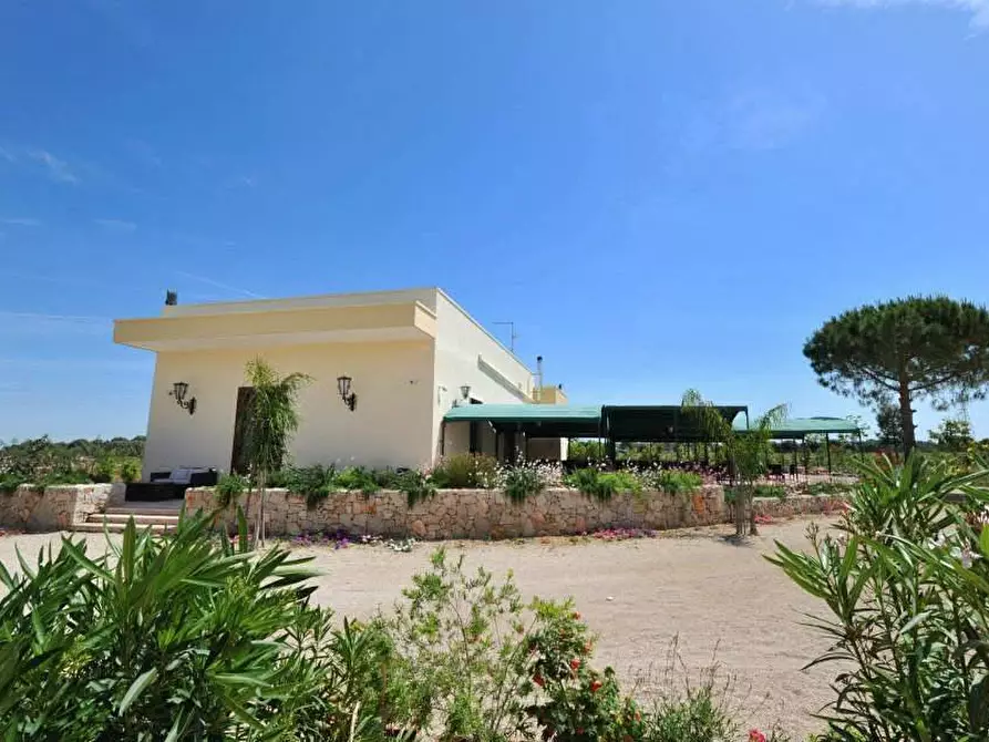 Immagine 11 di Azienda agricola in vendita  in STRADA ESTERNA LECCE SP 16 COPERTINO-SANPIETRO IN LAMA a Copertino