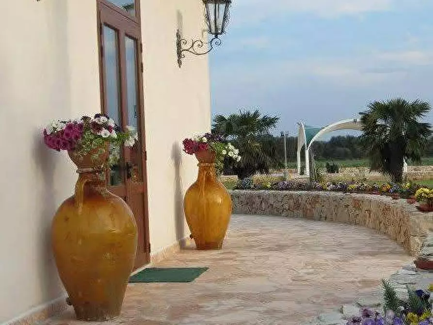 Immagine 12 di Azienda agricola in vendita  in STRADA ESTERNA LECCE SP 16 COPERTINO-SANPIETRO IN LAMA a Copertino