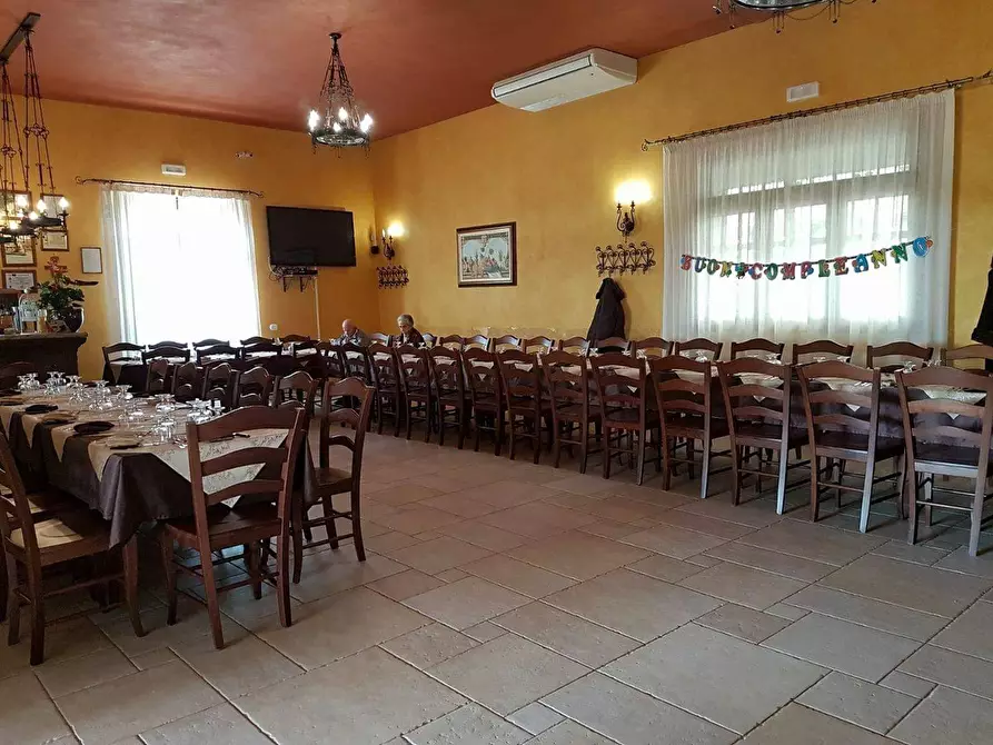 Immagine 13 di Azienda agricola in vendita  in STRADA ESTERNA LECCE SP 16 COPERTINO-SANPIETRO IN LAMA a Copertino