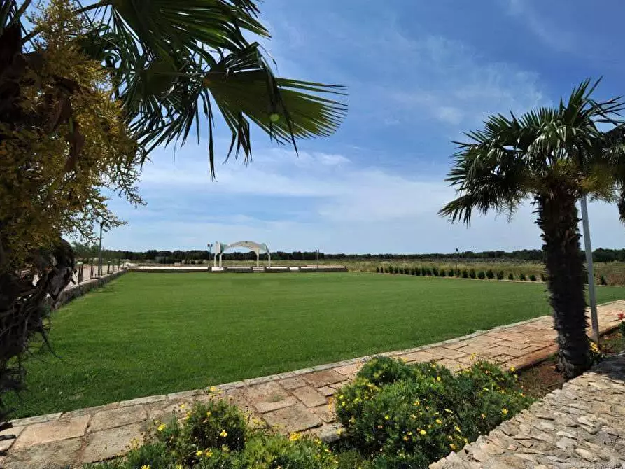 Immagine 14 di Azienda agricola in vendita  in STRADA ESTERNA LECCE SP 16 COPERTINO-SANPIETRO IN LAMA a Copertino